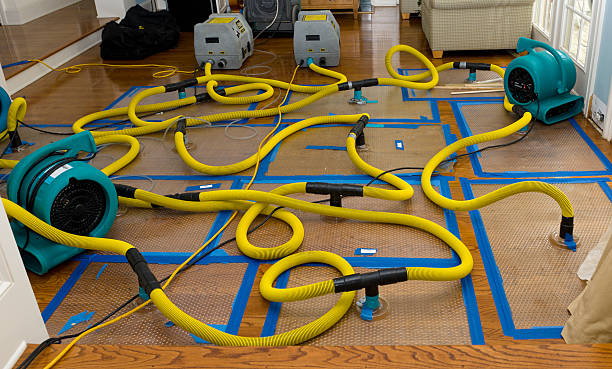 Professional Water Damage Restoration technician working in Roxbury Crossing, MA